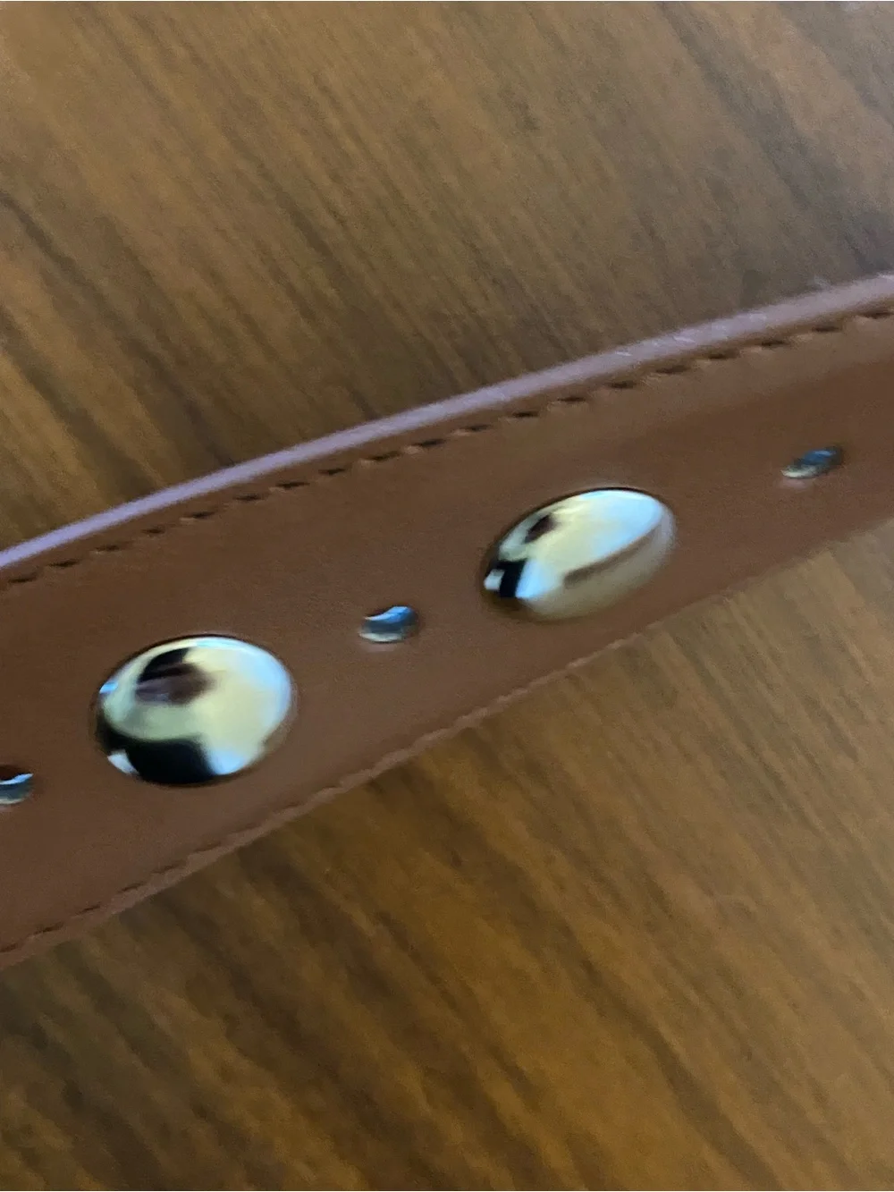 Steve Madden Tan/Brown Leather Belt with Silver-Tone Studs